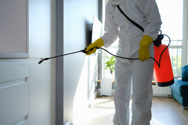 Best Mold Cleaning Services  in Maxton, NC